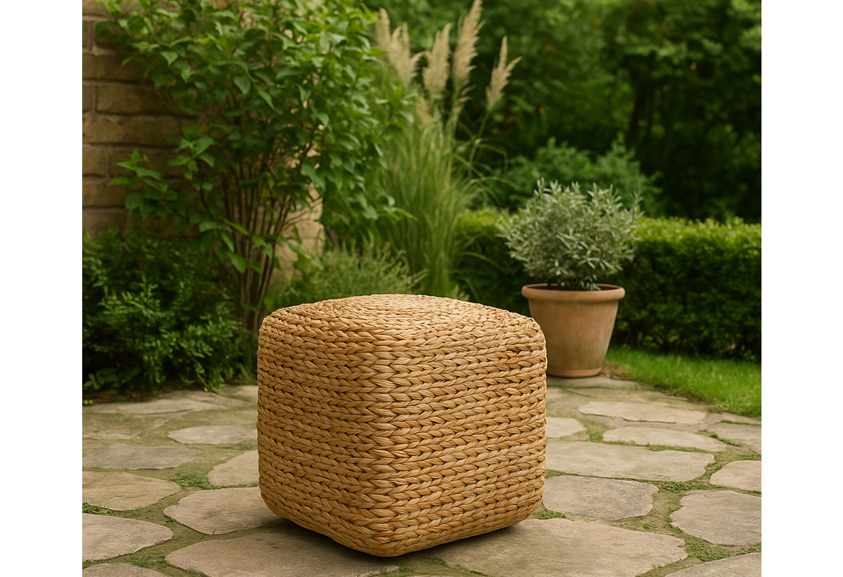 Απεικονίζεται το σκαμπώ